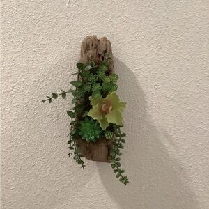 Driftwood Art, Driftwood & Faux Succulents, Driftwood Coastal Art